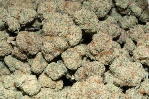 weedsmart_image_Frosted Fruit Cake (AAAA)