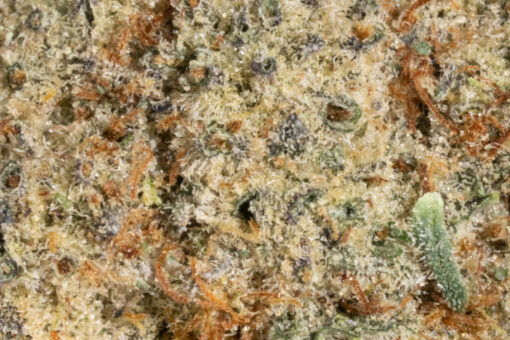 weedsmart_image_Frosted Fruit Cake (AAAA)