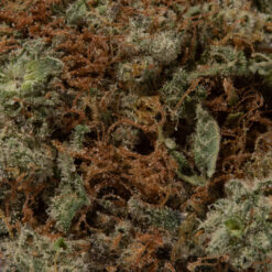 weedsmart_image_Pineapple Punch (AAA+)