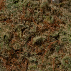 weedsmart_image_Strawberry Amnesia (AAA+)
