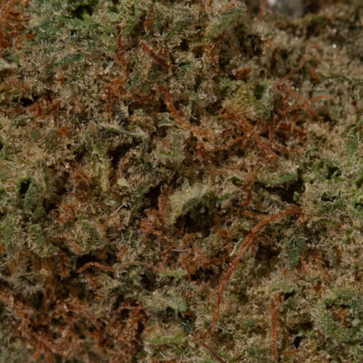 weedsmart_image_Strawberry Amnesia (AAA+)