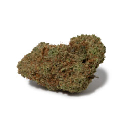 weedsmart_image_Strawberry Amnesia (AAA+)