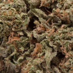 weedsmart_image_Super Skunk (AAA)