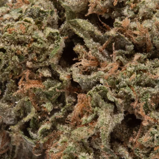 weedsmart_image_Super Skunk (AAA)