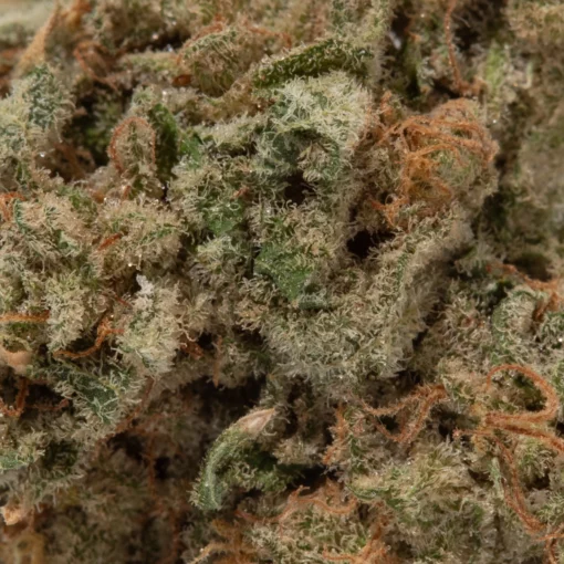 weedsmart_image_Sundae Driver (AAA)