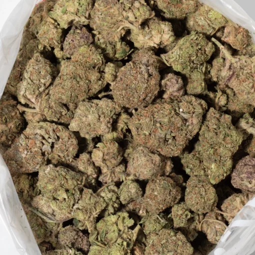 weedsmart_image_LSD (AAA)