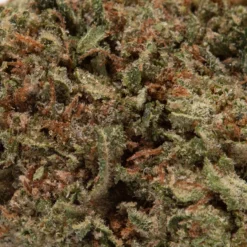 weedsmart_image_LSD (AAA)