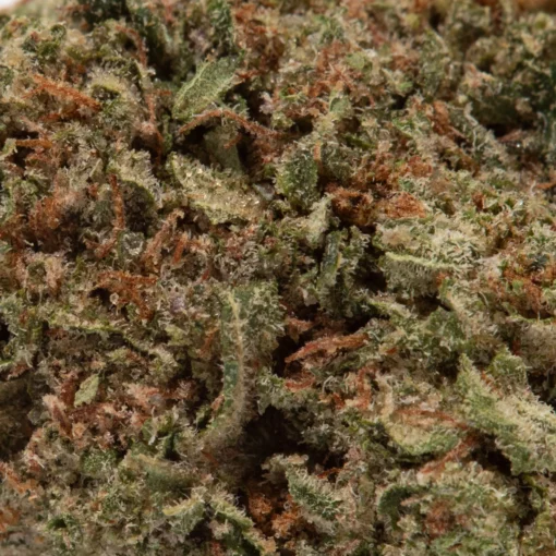 weedsmart_image_LSD (AAA)