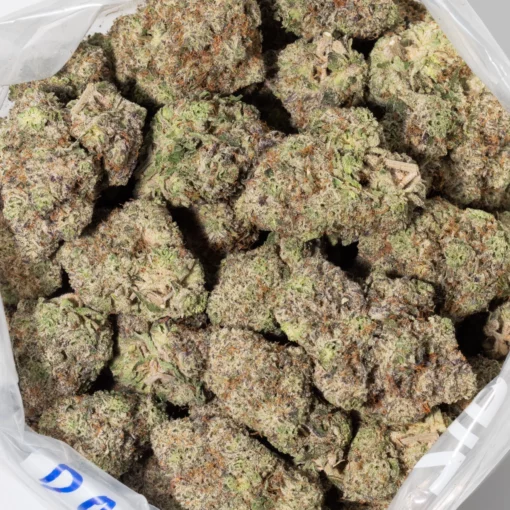 weedsmart_image_Gastro Pop (Craft/AAAAA)