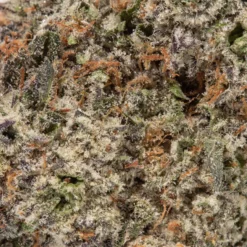 weedsmart_image_Gastro Pop (Craft/AAAAA)