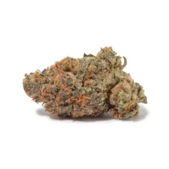 weedsmart_image_Goudaberry (AAAAA+/Craft)