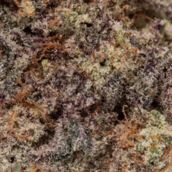 weedsmart_image_Slurricane (AAAAA/Craft)