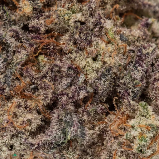 weedsmart_image_Slurricane (AAAAA/Craft)