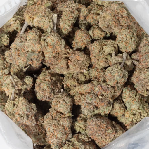 weedsmart_image_Goudaberry (AAAAA+/Craft)