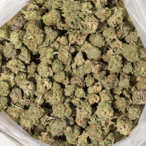 weedsmart_image_gk-wdv-deIsland Sweet Skunk (AA)_March26th_Miss250_bag