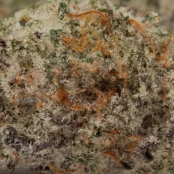 weedsmart_image_Mac Donut (AAAA+/Popcorn)