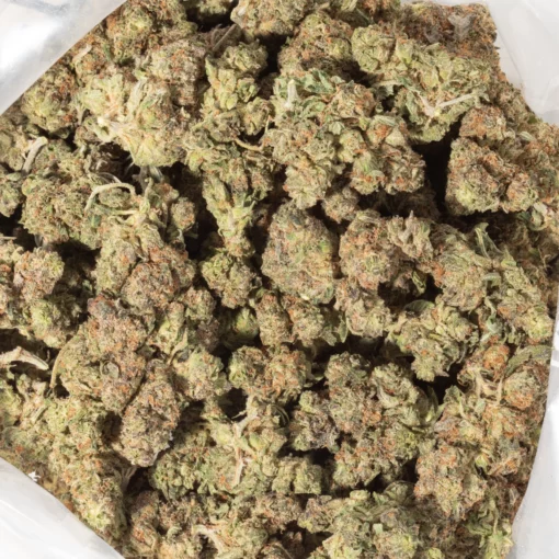 weedsmart_image_Purple Urckle (AA+)