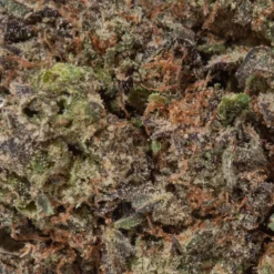 weedsmart_image_Purple Urckle (AA+)