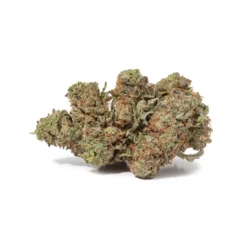 weedsmart_image_Purple Urckle (AA+)