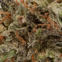 weedsmart_image_Banana Acai (AAAA/Popcorn)