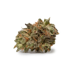 weedsmart_image_Banana Acai (AAAA/Popcorn)
